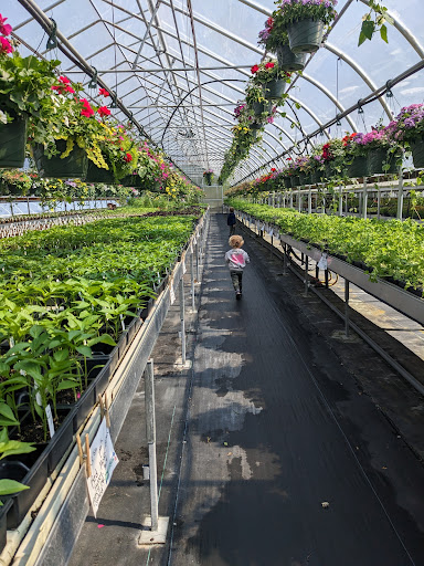 Halfinger Farms - Thumbnail