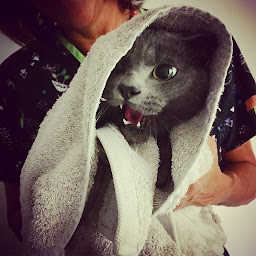 Photo n°1 de Clinique Vétérinaire Saint Hubert à Beausoleil (Clinique vétérinaire)