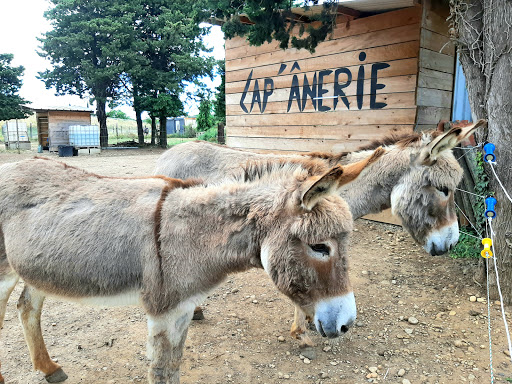 Lap'ânerie Gallery - France