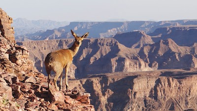 Photos of Gondwana Collection Namibia