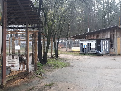 Photos of Ulubele dzīvnieku patversme Līči