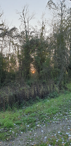 Inselchen ES - Thumbnail