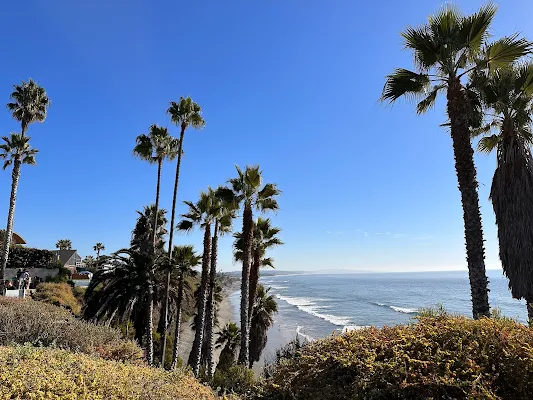 Levinson Realty Group, San Diego CA
