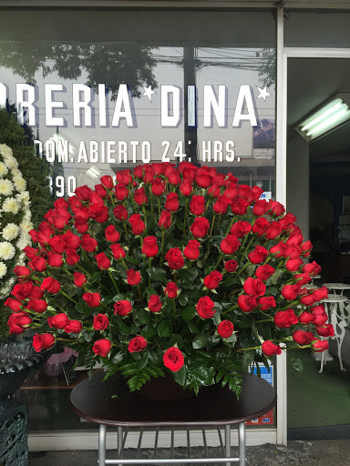 Florería Dina