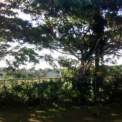 Photos of Perfection Landscaping & Lawn Service