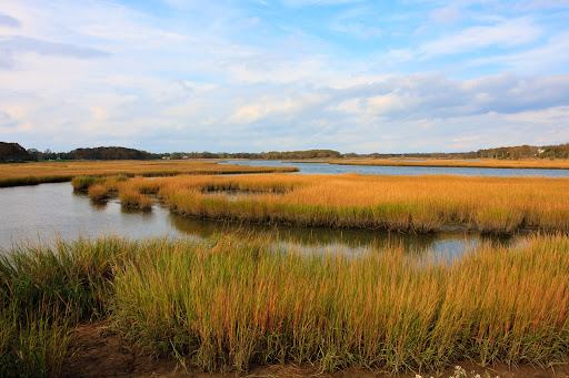 Daniel Gale Sotheby’s International Realty - Shelter Island, NY - Thumbnail