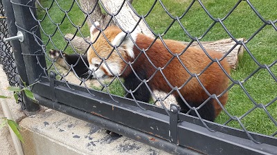 Roosevelt Park Zoo Office