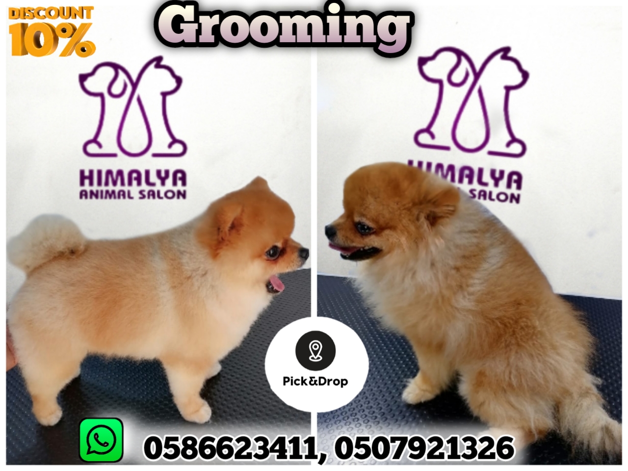 Himalaya Pet Salon & Pet Accessories Shop - صورة 4