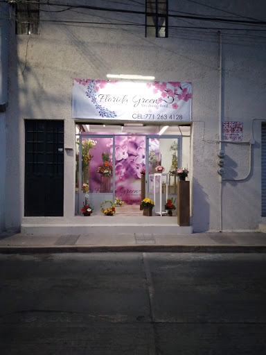 Floreria Florida Grenn