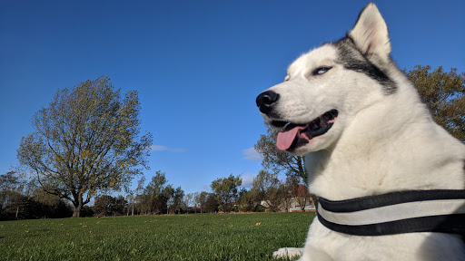 Churchill Playing Field - Thumbnail