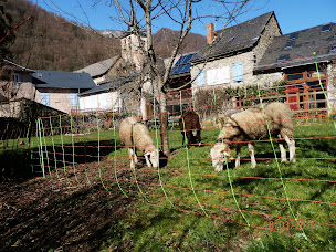 Photo n°52 de Gite la Colline Verte à Ustou (Gîte)