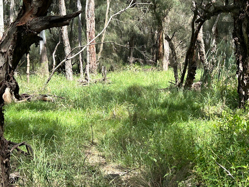 The Forgotten Bridge Gallery - Australia