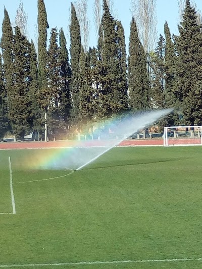 Municipal Stadium Armando Picchi