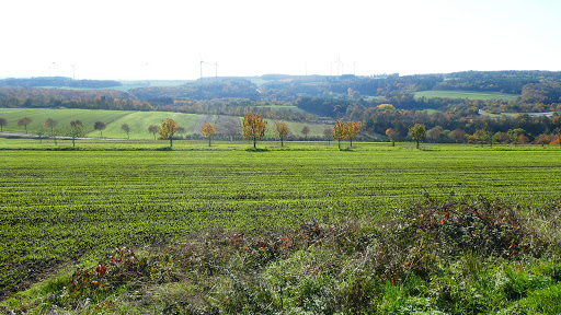 Panoramablick auf Kaisersesch