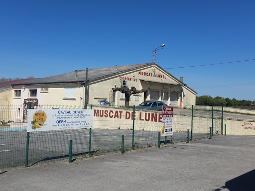 Photo de Les Terrasses du Vidourle à Villevieille (30250)