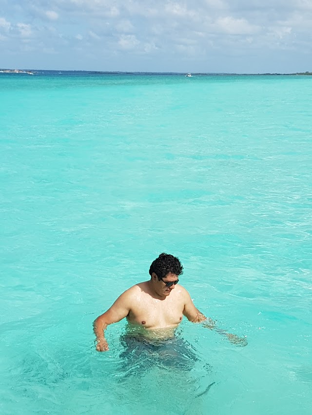 Bird Island "Bird Sanctuary" Bacalar