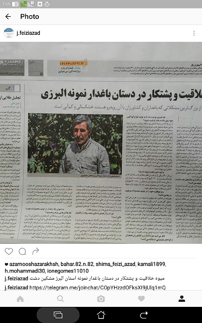 Photos of باغ حاج جعفرفیضی آزاد