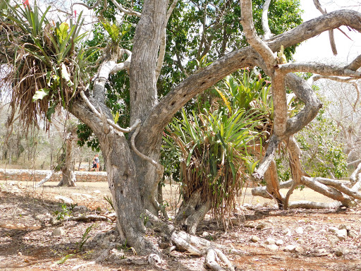 Labná - Visual