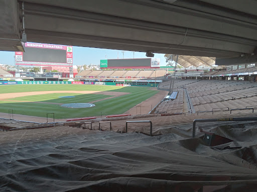 Club de Béisbol Tomateros de Culiacán