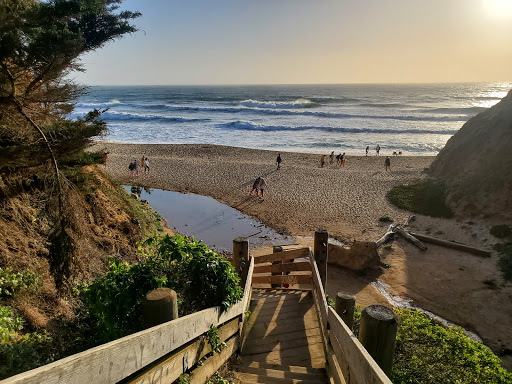 Gray Whale Cove State Beach - Thumbnail