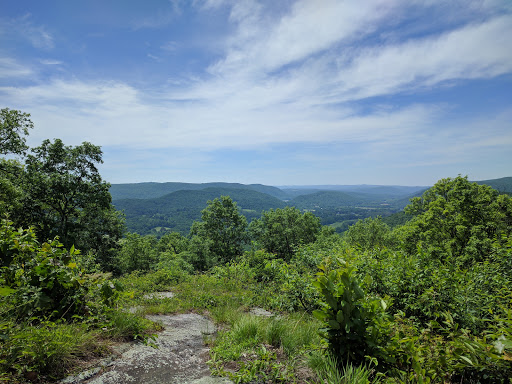 Pond Mountain Natural Area