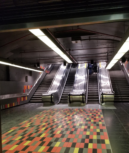 Guy-Concordia - Visual