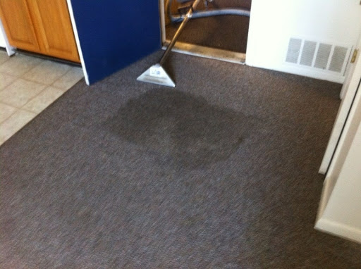 On The Spot Carpet Cleaning - Thumbnail