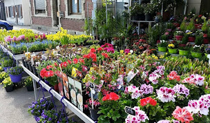 Photo n°19 de Le Marché aux Fleurs à Ribécourt-Dreslincourt (Fleuriste)