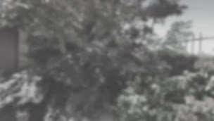 Photo n°3 de Log'ici Barrois & Pecarrere immobilier 🏡 à Ibos (Agence immobilière)