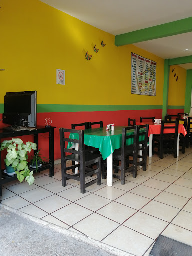 Chalet Cosmi Gallery - Mexico