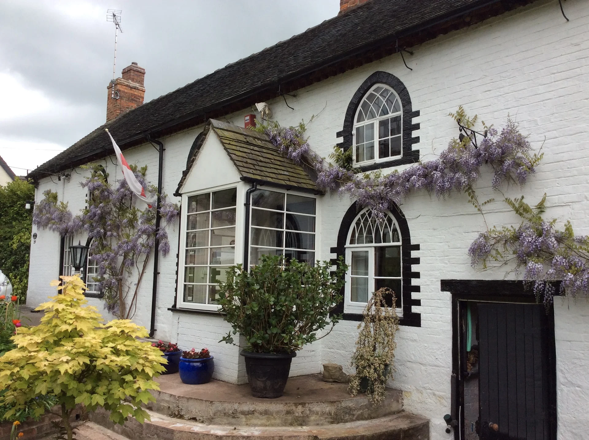 Wisteria Cottage B&B