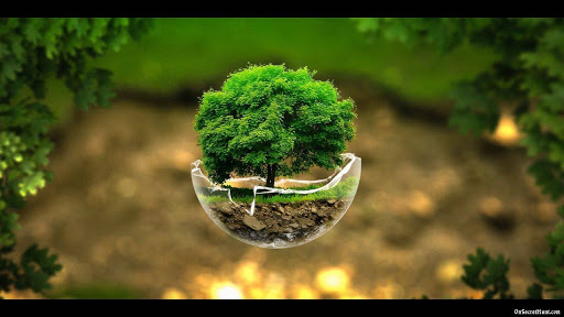 MimisPureNature.com - Visual
