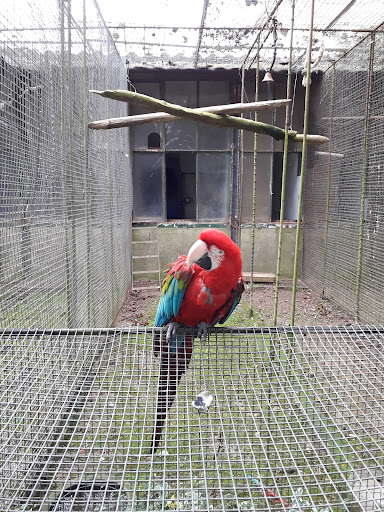 Parc Ornithologique de Bretagne - Thumbnail
