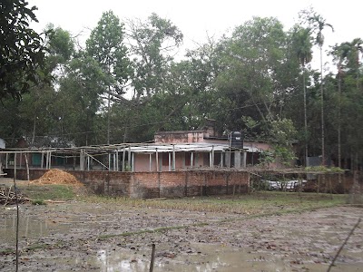 Photos of Zily Varieties Shop