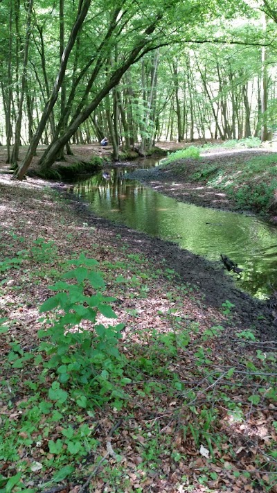 Jugendzeltplatz Wild Park