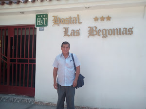 Hostal Begonias 6