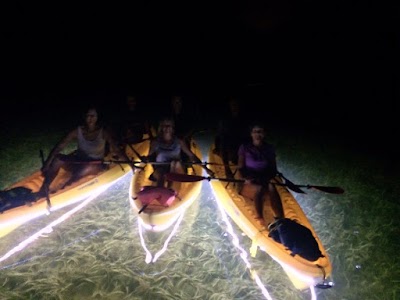 Photos of Aquaholic Adventures Paddle board Kayak Islamorada