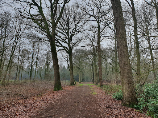 Arnoldspark Tweede slagboom rechts in de Prins Hendriklaan, Esbeek - Thumbnail