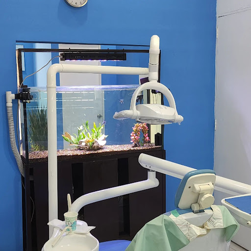 Dr. Emmanuel Hernández Ramos, (RehabilitArte Clínica Dental)