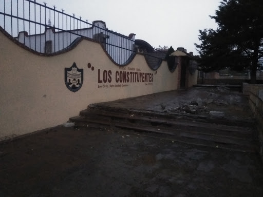 Primaria Los Constituyentes