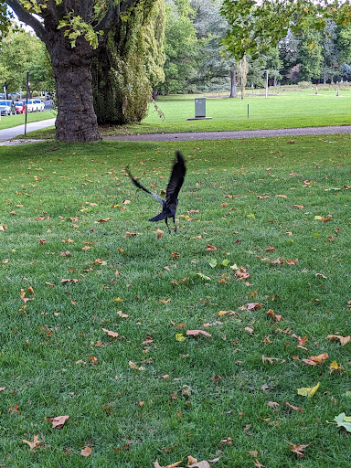 Parkes Place East Lawns Gallery - Australia