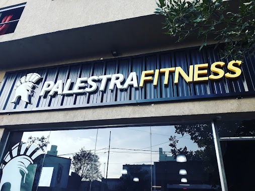 Palermo Fitness, Author: Alejo Rodriguez Aguirre