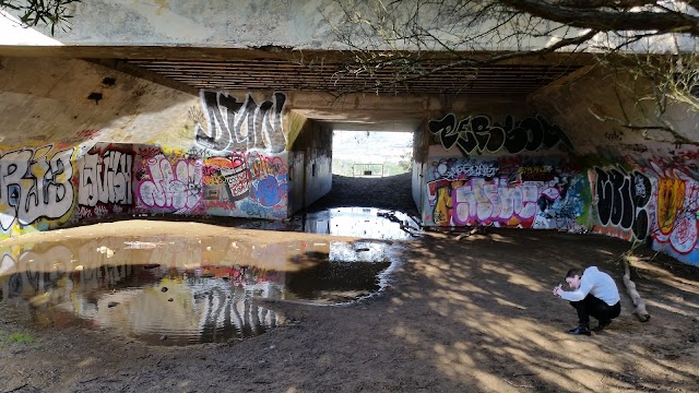 Fort Funston National Park