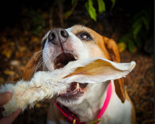 Boodles Dog Treats UK - Thumbnail