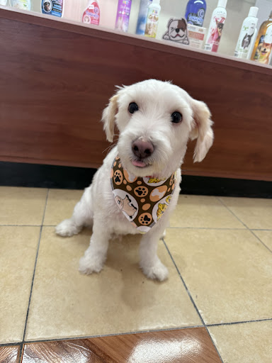 Maskotita Clínica Veterinaria y Pet Shop