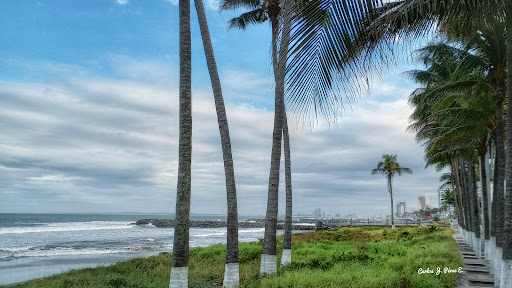 Playa Los Arcos - Thumbnail