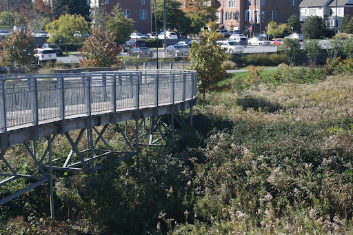 Germantown Town Center Urban Park - United States