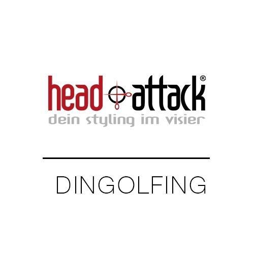 head attack Dingolfing - Visual