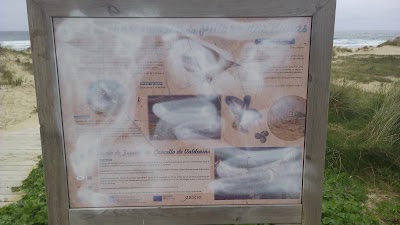 Photos of ZEPA Costa de Ferrolterra -Valdovi&ntilde;o