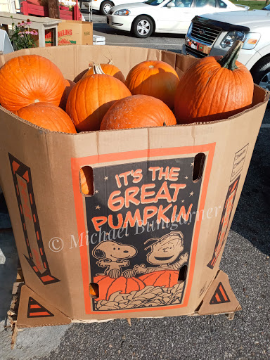 Randy's Produce - Thumbnail